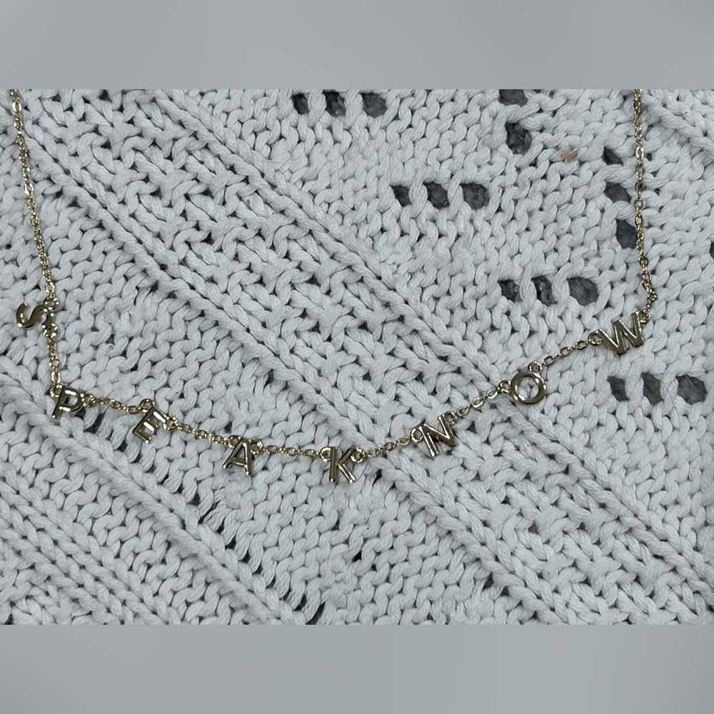 Taylor Swift Speak Now Necklace by Evry